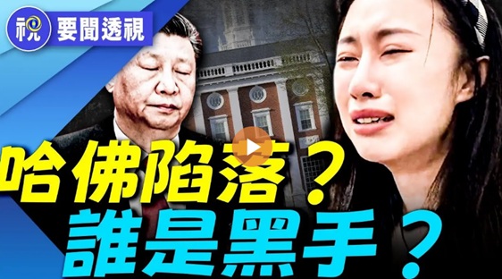 圖為中國產太陽能逆變器在使用中(圖:網圖)