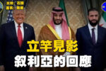 香港希望之聲