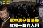香港希望之聲