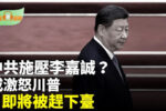 香港希望之聲