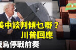香港希望之聲