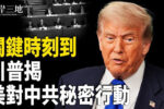 香港希望之聲