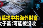 香港希望之聲