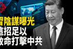 香港希望之聲