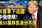 香港希望之聲