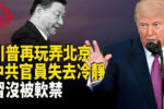 香港希望之聲