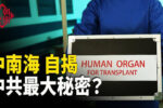 香港希望之聲
