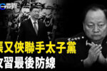 香港希望之聲