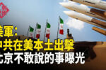 香港希望之聲