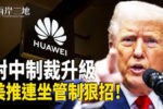 香港希望之聲