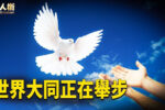 香港希望之聲