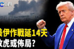 香港希望之聲