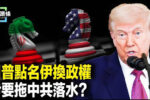 香港希望之聲