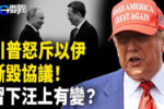 香港希望之聲