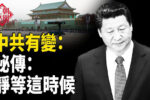 香港希望之聲