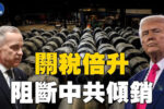香港希望之聲