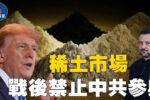 香港希望之聲