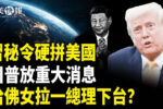 香港希望之聲