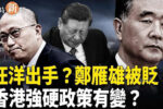 香港希望之聲