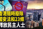 香港希望之聲