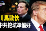 香港希望之聲