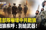香港希望之聲