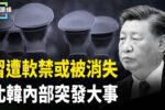 香港希望之聲