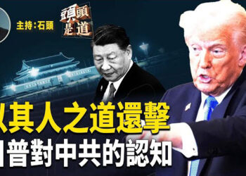 【頭頭是道】通過川普談對中共態度，分析川普對中共的認知；充當中共非法代理人麻煩不斷；加拿大取消數字服務稅，各國會步後塵.