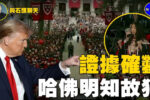 香港希望之聲