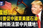 香港希望之聲