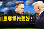 香港希望之聲