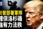 香港希望之聲