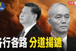 香港希望之聲