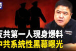 香港希望之聲