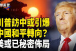 香港希望之聲
