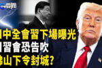 香港希望之聲