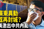 香港希望之聲