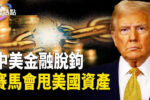香港希望之聲