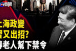 香港希望之聲