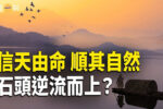 香港希望之聲