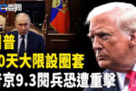 香港希望之聲