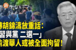 香港希望之聲