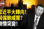 香港希望之聲