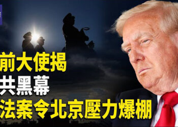 【熱點觀察】跨國打壓曝光，北約防空全面升級，震撼全球格局！   