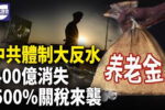 香港希望之聲