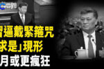 香港希望之聲