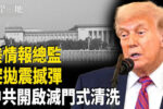 香港希望之聲