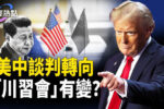 香港希望之聲