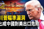 香港希望之聲