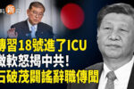 香港希望之聲